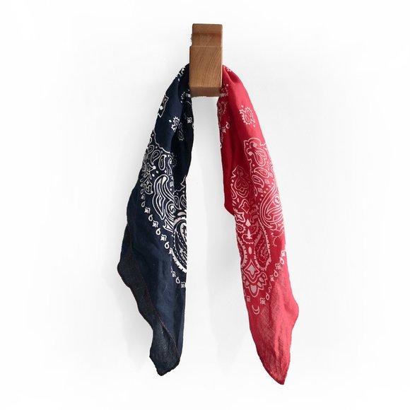 Accessories - Red blue diagonal paisley print cotton bandana